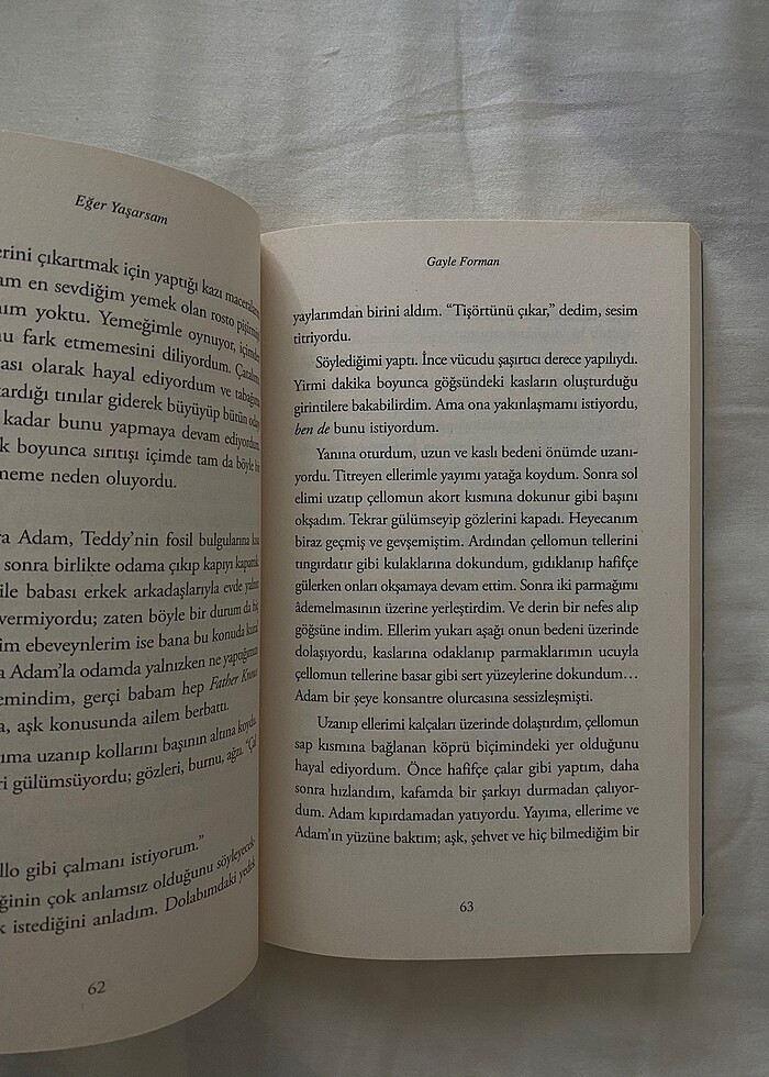 Eğer Yaşarsam - Gayle Forman - Görsel 2