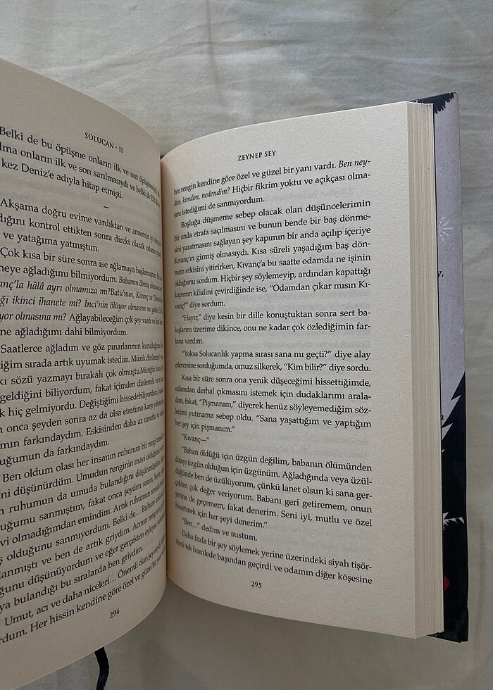 Solucan 2 Acı - Zeynep Sey - Görsel 2