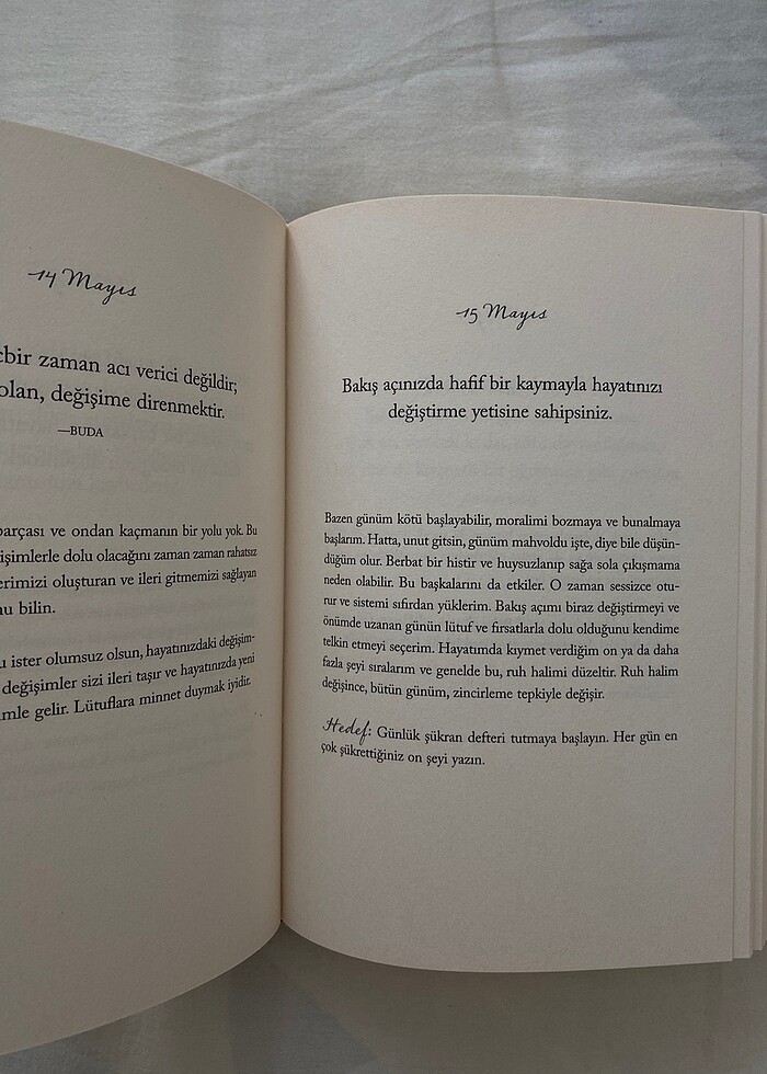 Güçlü Kal - Demi Lovato - Görsel 2