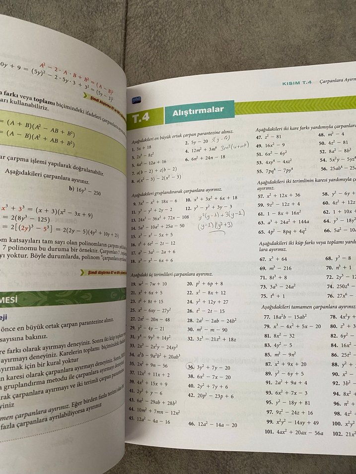 Kalkülüse Giriş - Grafikler ve Modeller - Görsel 4