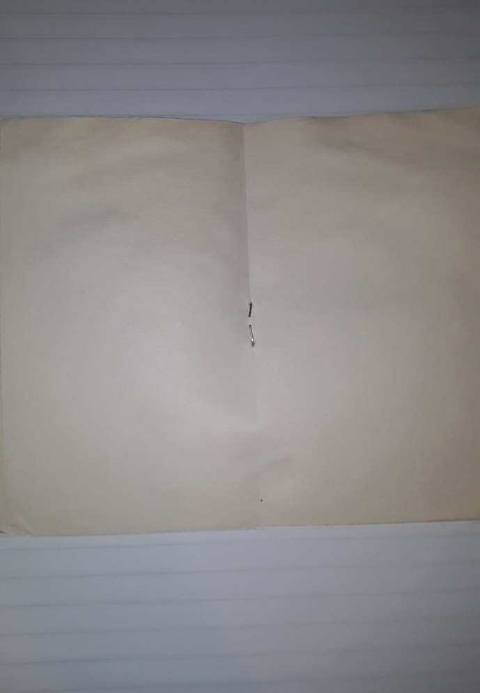 Stray Kids defter - Görsel 5