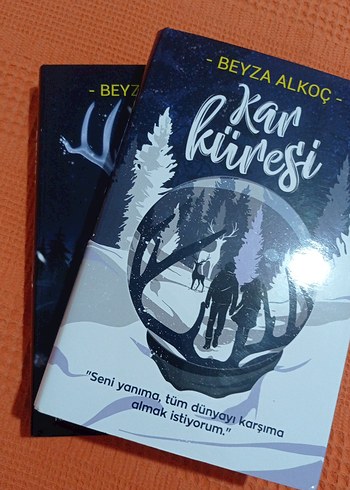 Kar Küresi - Beyza Alkoç