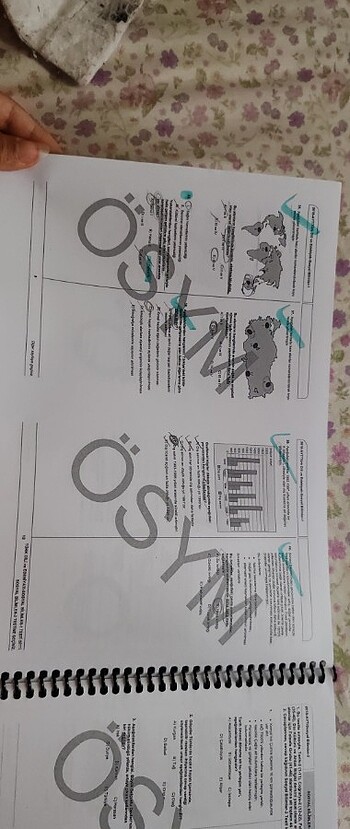  Beden Ayt çıkmış sorular 