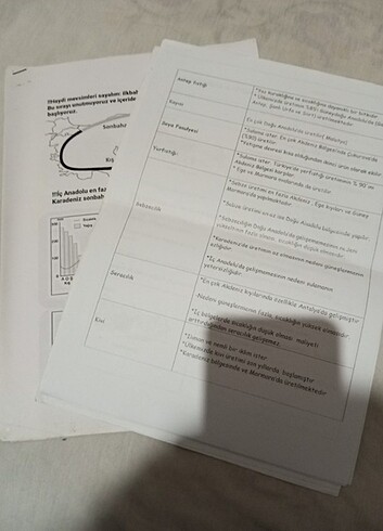 Edebiyat ve coğrafya notaları - Görsel 2