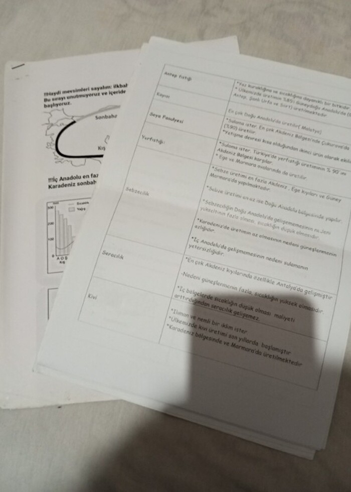 Edebiyat ve coğrafya notaları  - Görsel 2