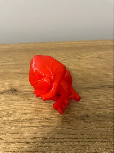 Sevgililer günü anatomik kalp modeli maket - Görsel 5