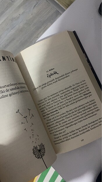 Karantina 2 beyza alkoç - Görsel 3