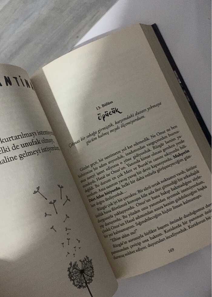 Karantina 2 beyza alkoç - Görsel 3