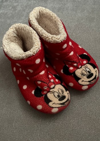 Walt Disney World 29