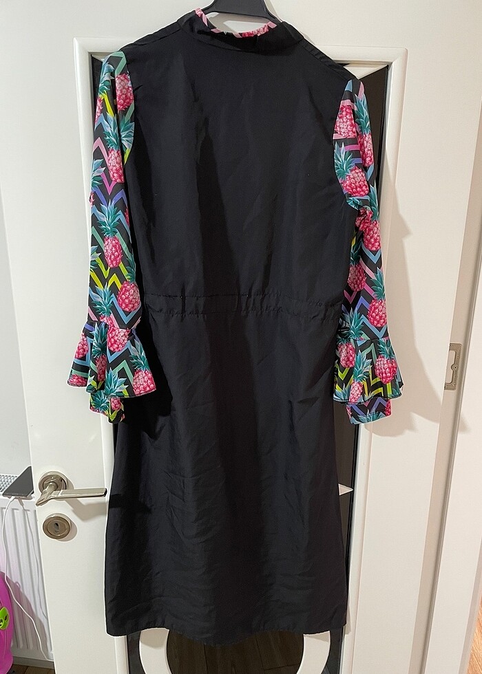 Remsa mayo haşema - Görsel 3