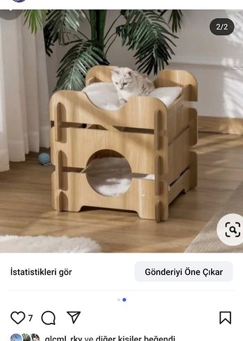 2 Kademeli Kedi Yatak ve Yuvası - Görsel 6