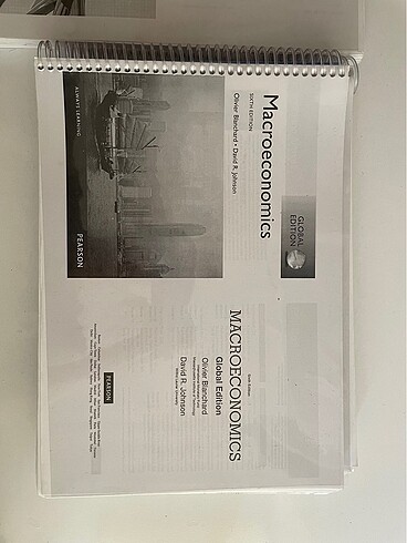 macroeconomics blanchard & johnson