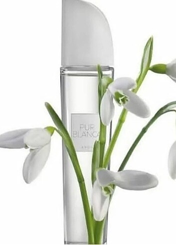 2 adet Pur Blanca Kadın Parfüm EDT 50ml