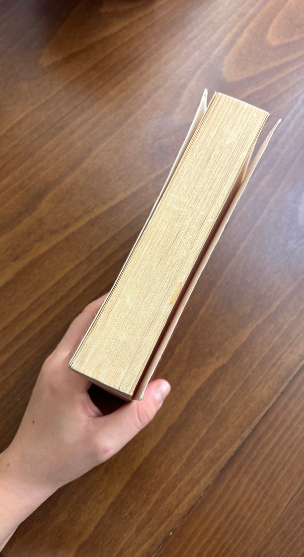 Piraye - Canan Tan - Görsel 3