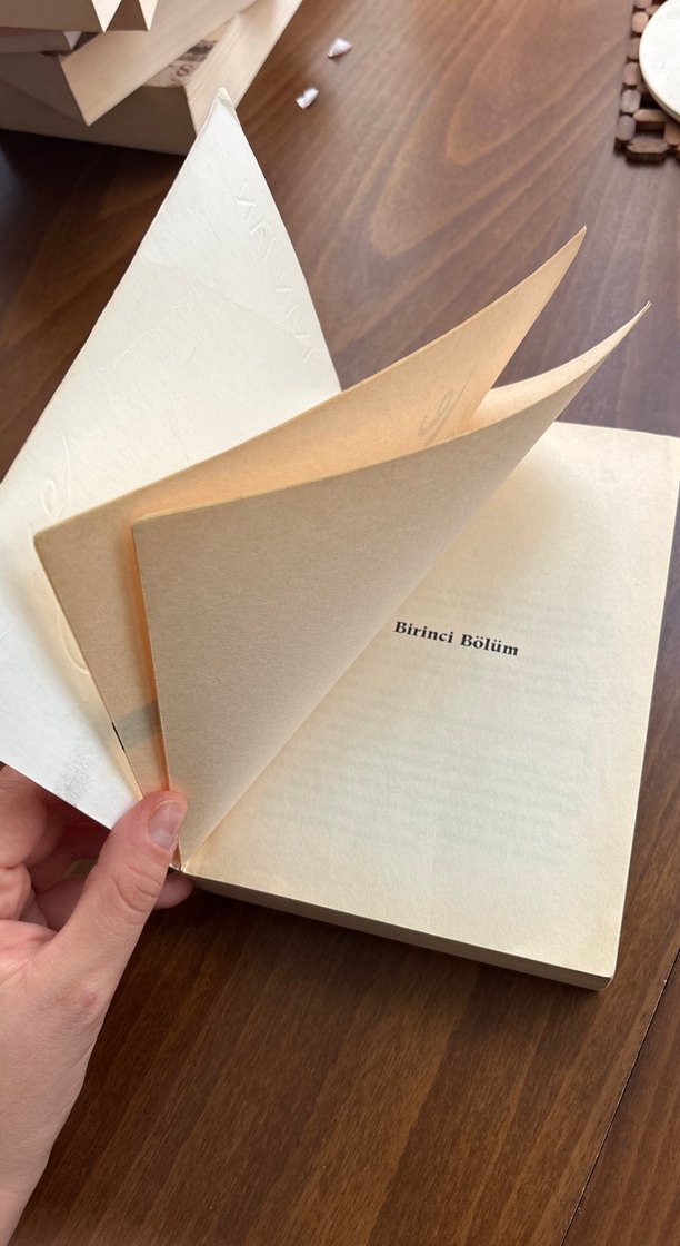 Piraye - Canan Tan - Görsel 4