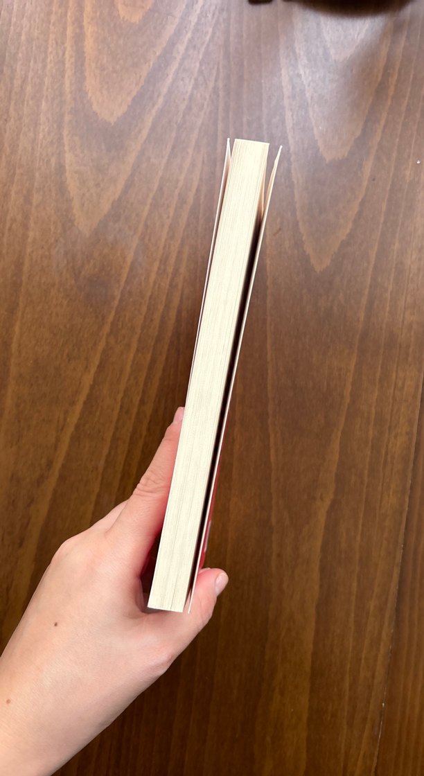 Arınmalar - Patrick DeWitt - Görsel 3