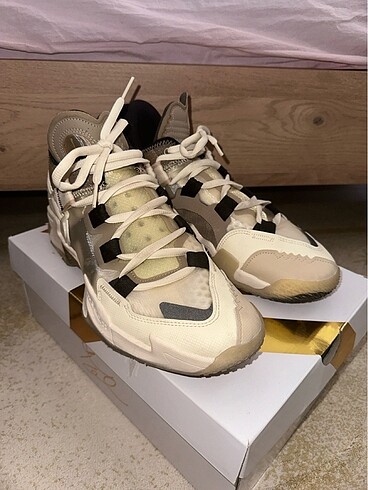 Nike Jordan why not 5