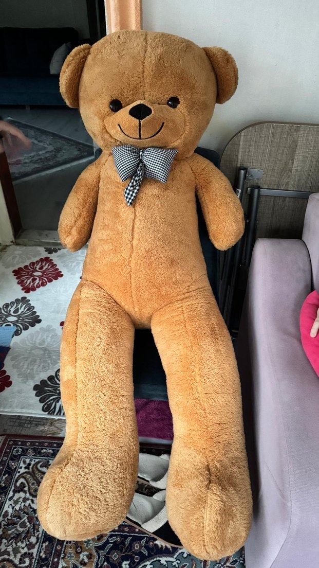 Kahverengi Peluş Oyuncak Ayı - Görsel 2