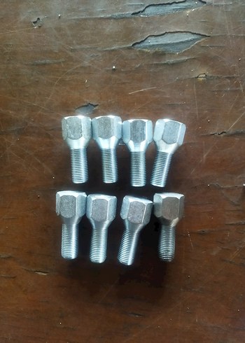 8 Adet Bijon