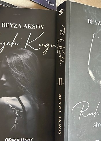 siyah kuğu, ruh kadehi beyza aksoyun romanları