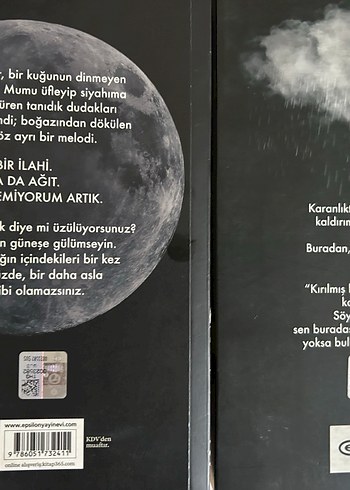  siyah kuğu, ruh kadehi beyza aksoyun romanları