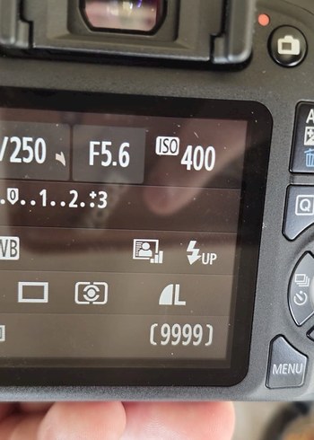 Canon EOS 2000D +18-55mm DSLR Fotoğraf Makinesi - Görsel 6