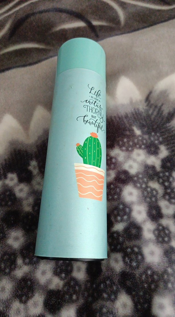 Turkuaz Kaktüs Desenli termos - Görsel 3