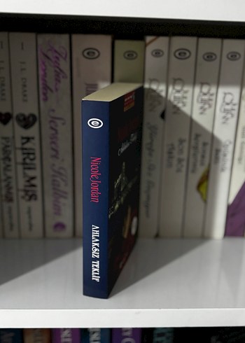 Nicole Jordan - Ahlaksız Teklif Roman - Görsel 2