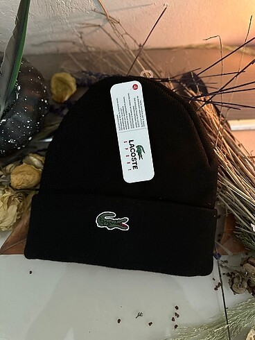 Lacoste Bere
