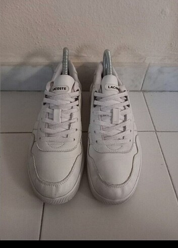 Lacoste Lacoste