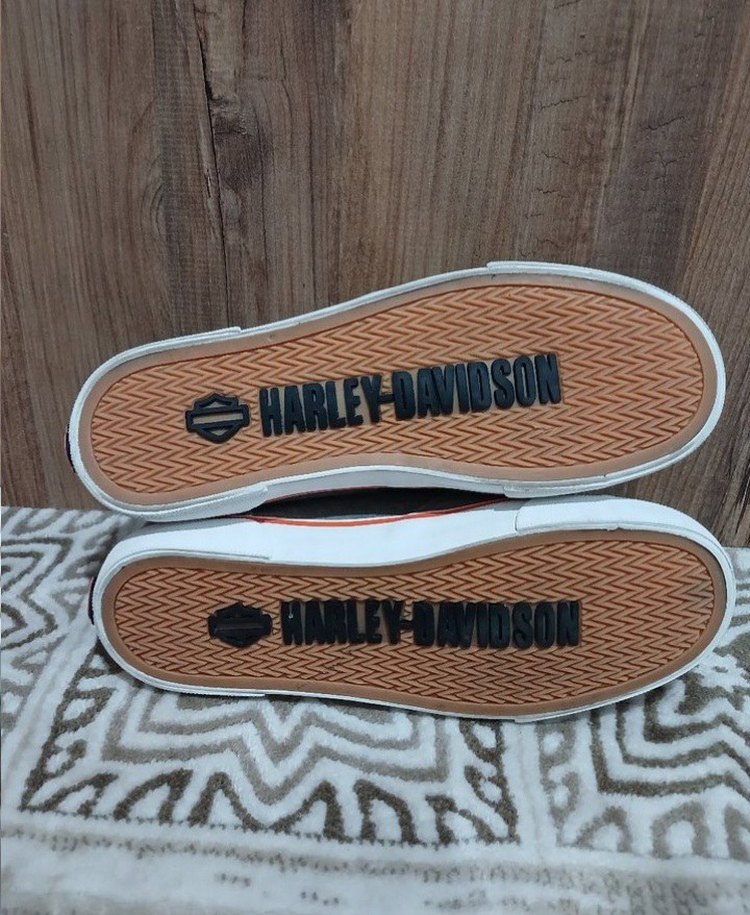 Harley-Davidson — görsel 8/8