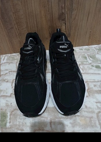 Puma pumaa