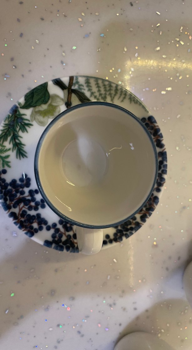 Mavi Kenarlı Beyaz Porselen Fincan Takımı - Görsel 3