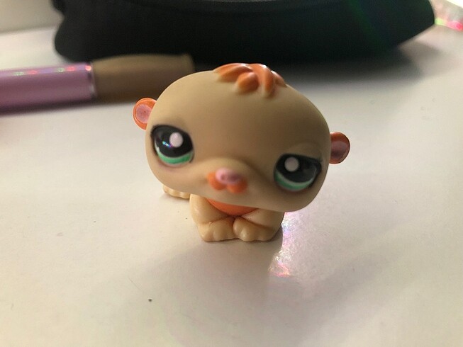 Hamster lps miniş????