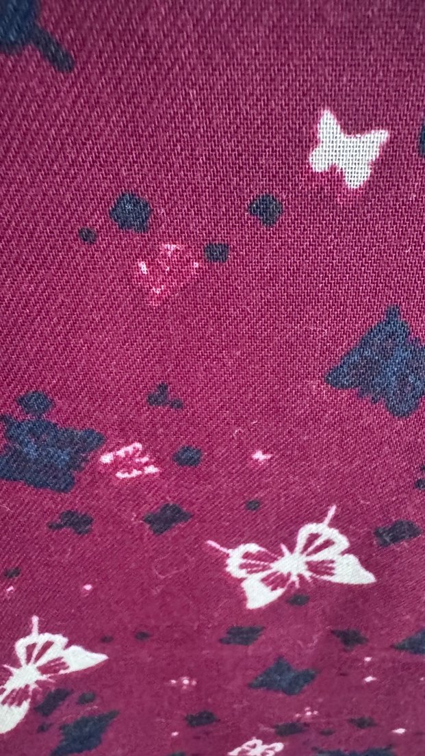 Bordo Kelebek Desenli Kadın Şal - Görsel 2