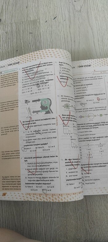 Palme ayt biyoloji