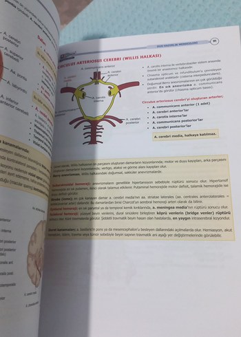  Dusdata Şampiyonların Notu Anatomi Kitabı 16. Baskı