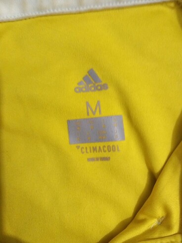 m Beden Adidas 2017 Fenerbahçe Forma