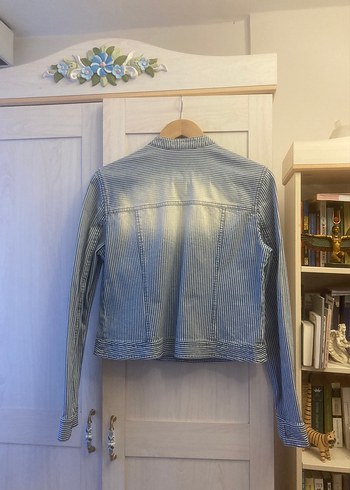 Düğmeli Çizgili Gri Kadın Denim Ceket - Görsel 4