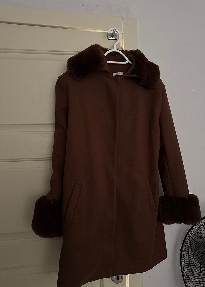 Tüylü kaban - Görsel 2