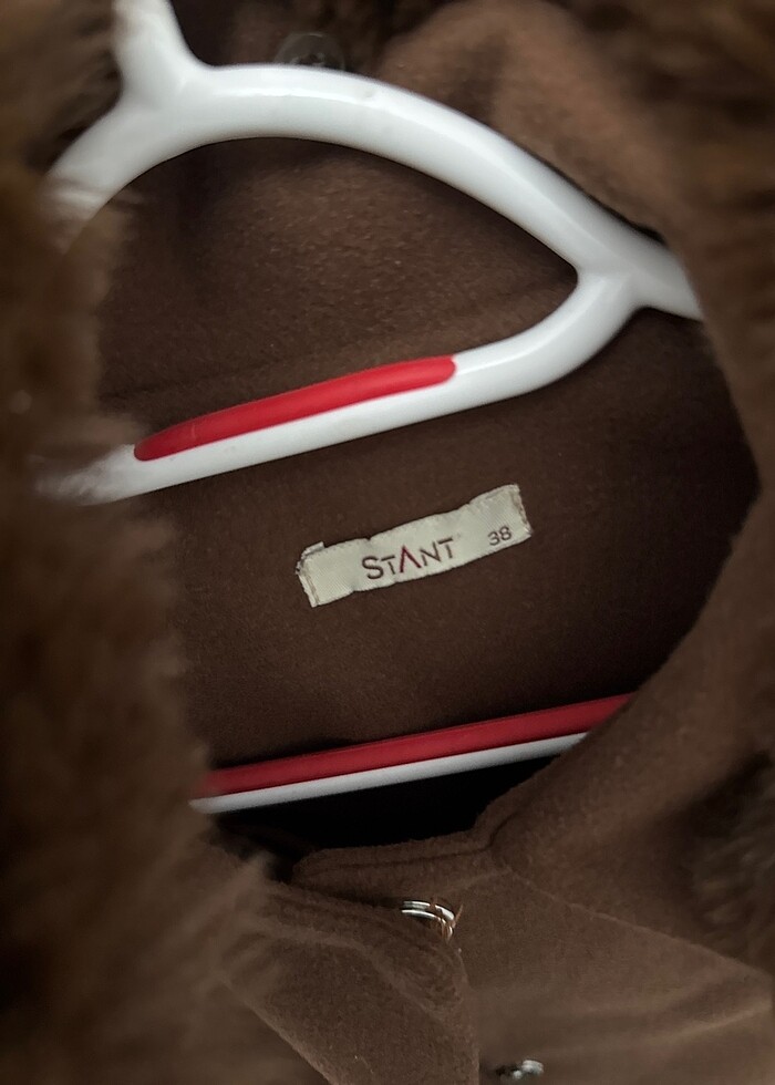 Tüylü kaban - Görsel 3