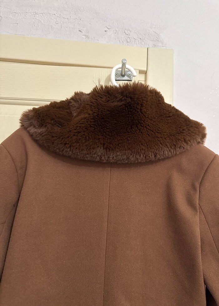 Tüylü kaban - Görsel 5