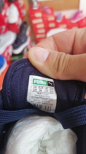 37 Beden PUMA WHİRLWİND MESH JR