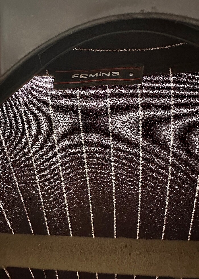 Femina Marka- Büyük Beden Çizgili İnce Blazer - Görsel 4