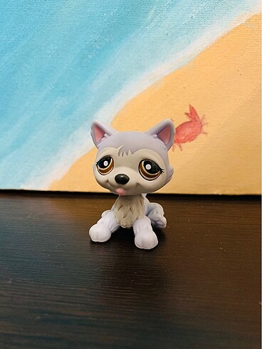 LPS Orijinal Husky 1046????