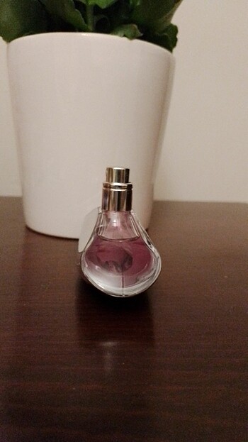 Beden Calvin Klein euphoria