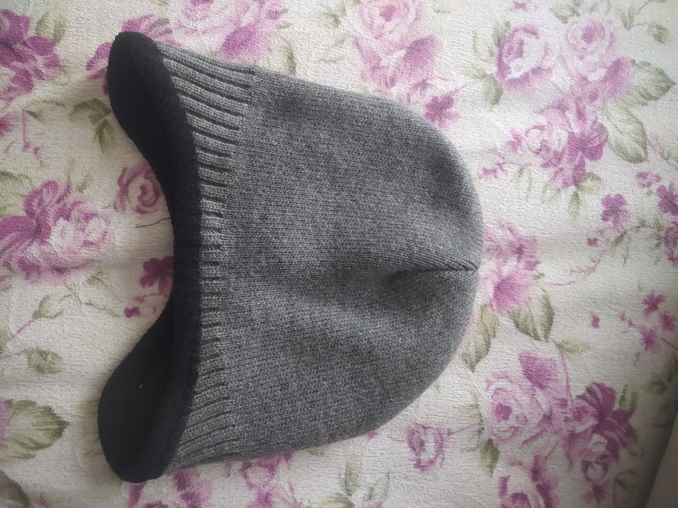 Gri Bere - Görsel 3