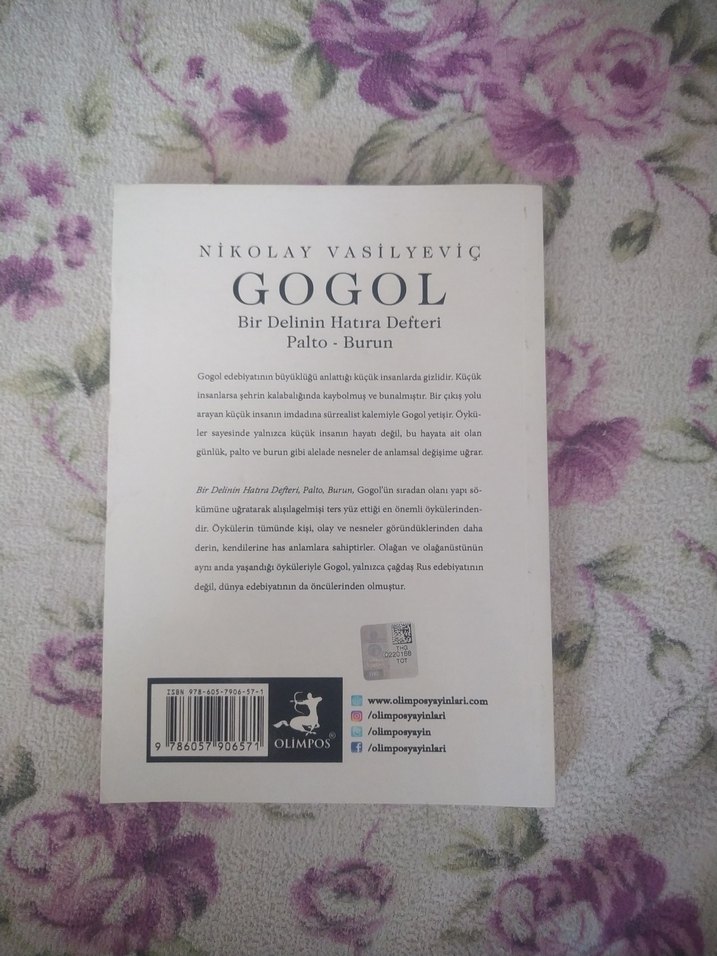 Nikolay Vasilyeviç Gogol - Bir Delinin Hatıra Defteri - Görsel 2