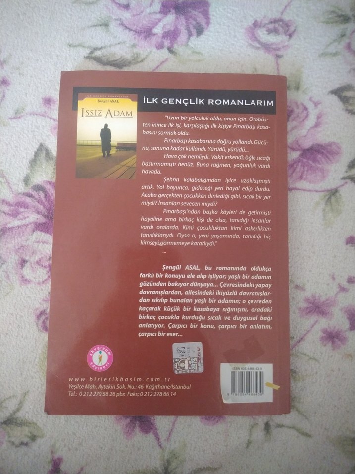 Issız Adam - Şengül Asal - Görsel 2