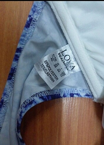 Bikini üstü